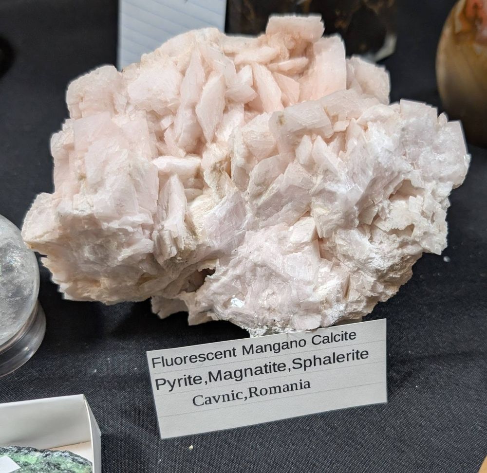Large fluorescent mangano calcite specimen from Cavnic, Romania, displayed on a dealer table