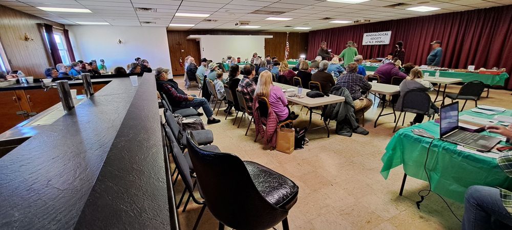 A full room of members seated at tables during the annual MSNEPA mineral auction