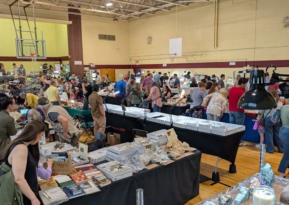 Crowds browsing rows of dealer tables in the gymnasium at the 2026 Treasures of the Earth show